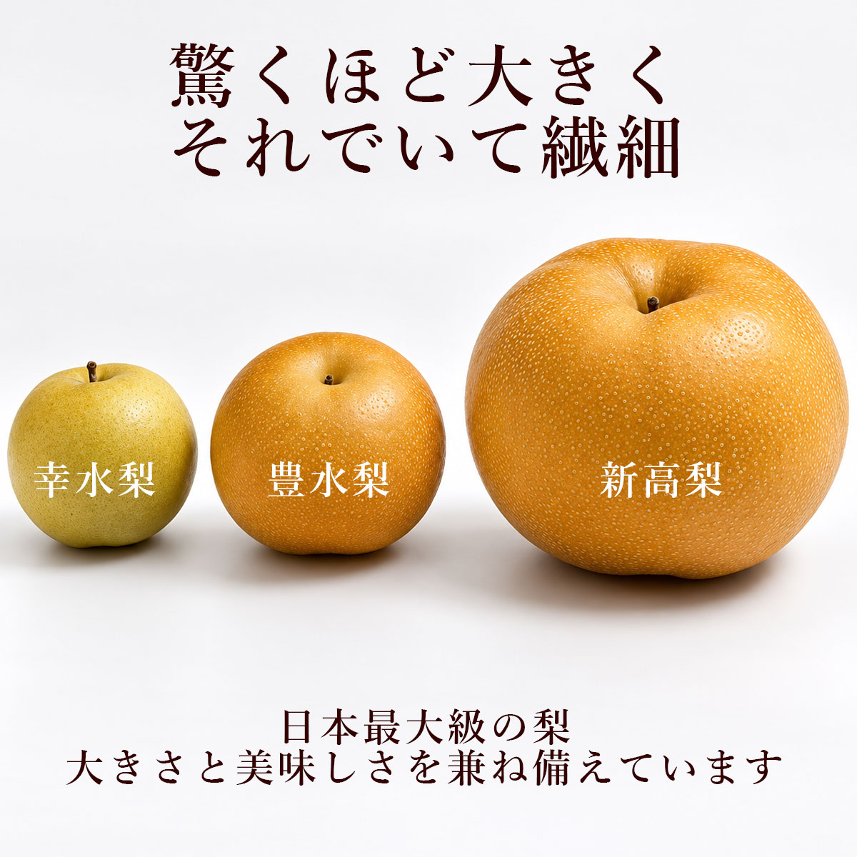 驚くほど大きく、それでいて繊細