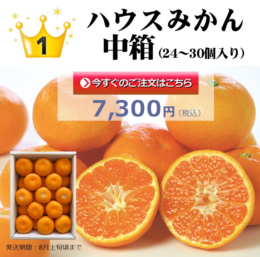 ハウスみかん