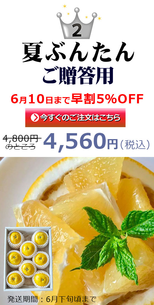 夏ぶんたん贈答用