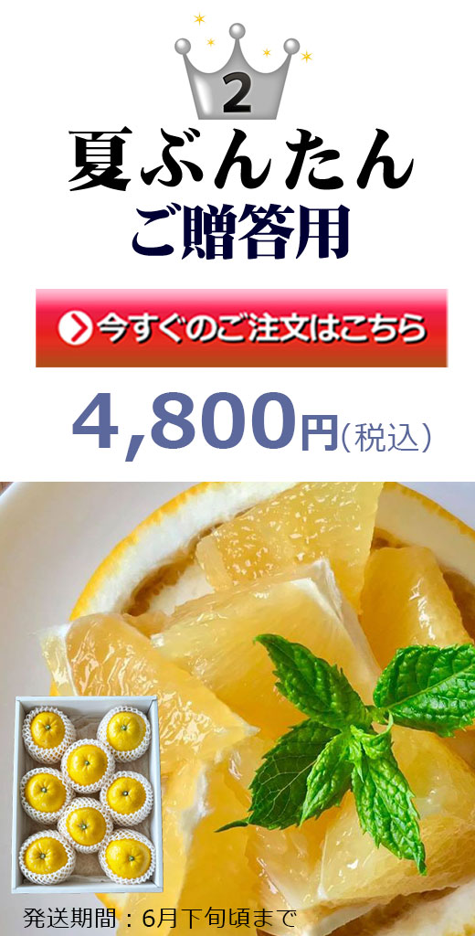 夏ぶんたん贈答用 河内晩柑橘 みしょうゴールド