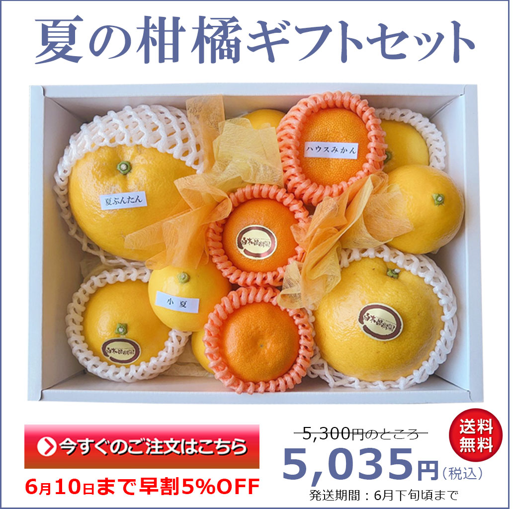 小夏とハウスみかんと夏ぶんたん（河内晩柑）の夏のギフトセット