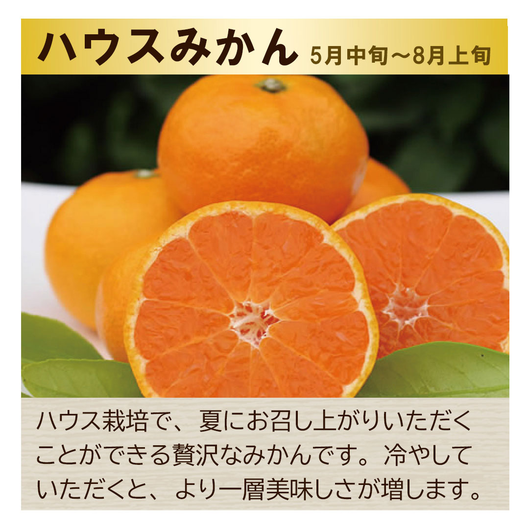 ハウスみかん