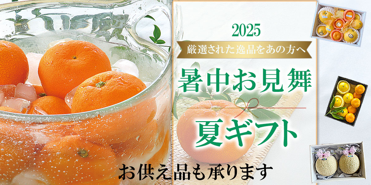 お中元　暑中お見舞い　夏ギフト　お供え