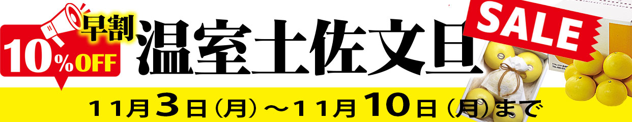 温室 文旦 セール 早割 10%OFF お歳暮 冬ギフト
