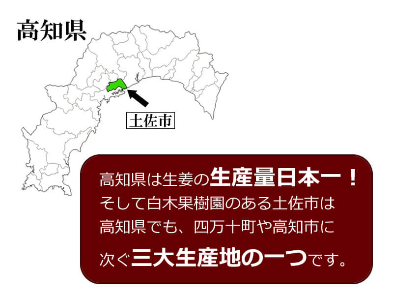 高知県は、生姜の生産日本一