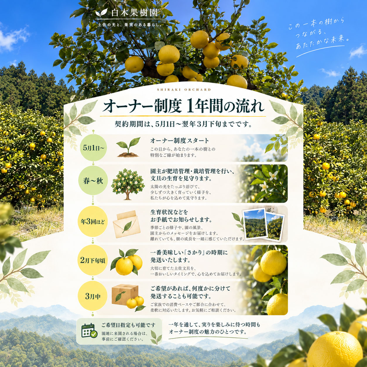 1年の流れ