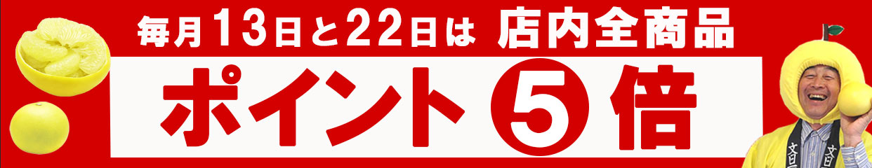 毎月　13日　22日　ポイント　5倍