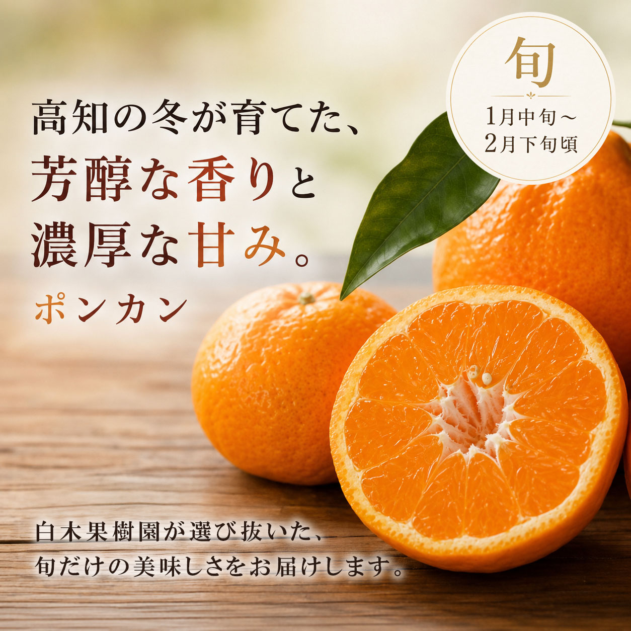文旦　山北みかん　ポンカン　好きにも　46 高知県須崎市立目産ポンカン 通販｜香り豊かな旬の味わい｜旬を選び