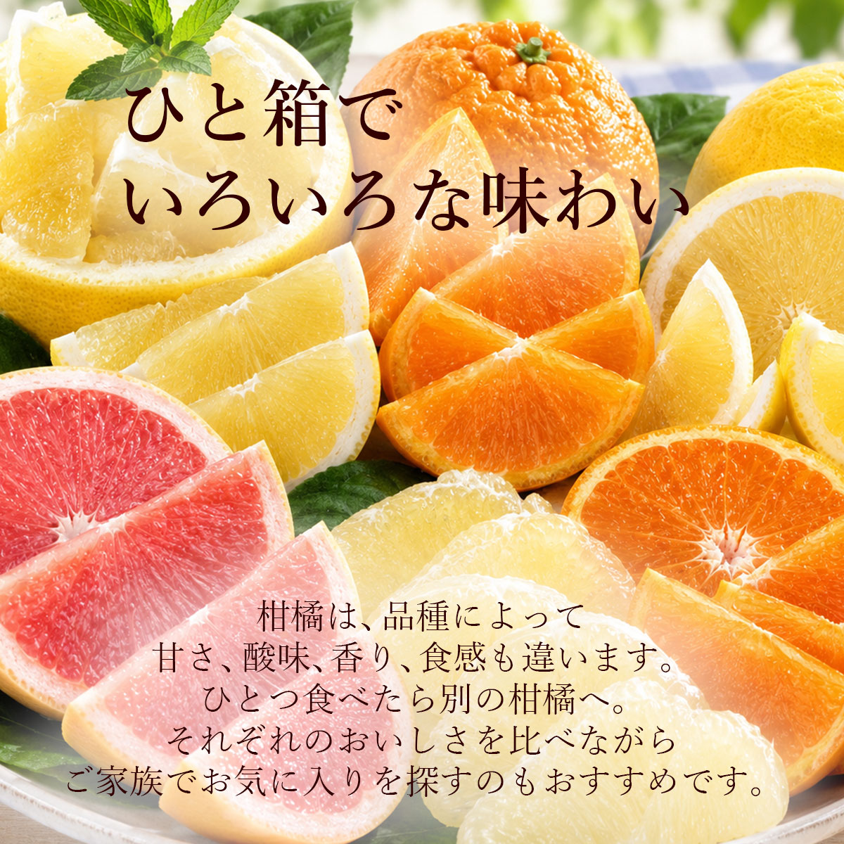 ひと箱で、いろいろな味わい。