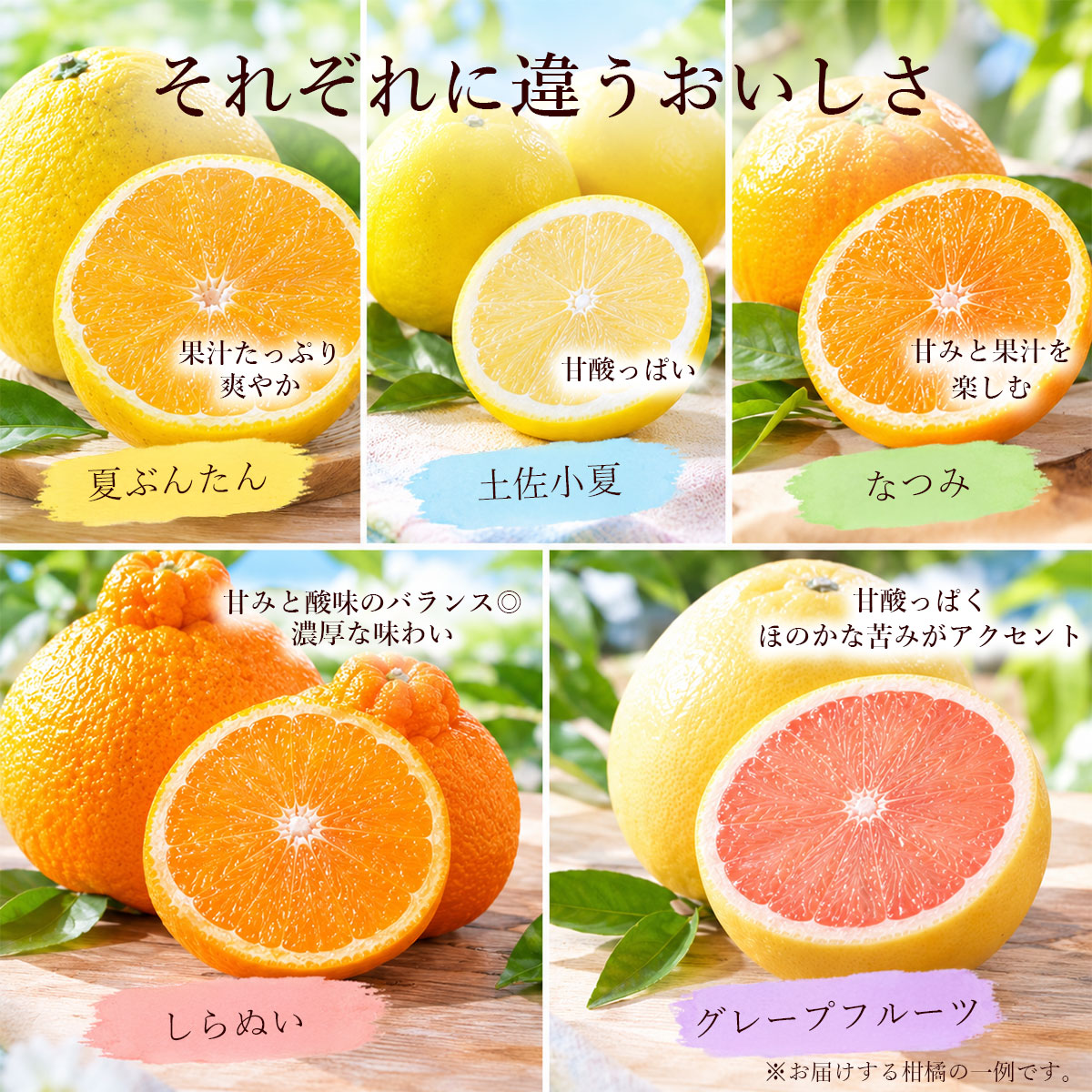 それぞれに、違うおいしさ。
