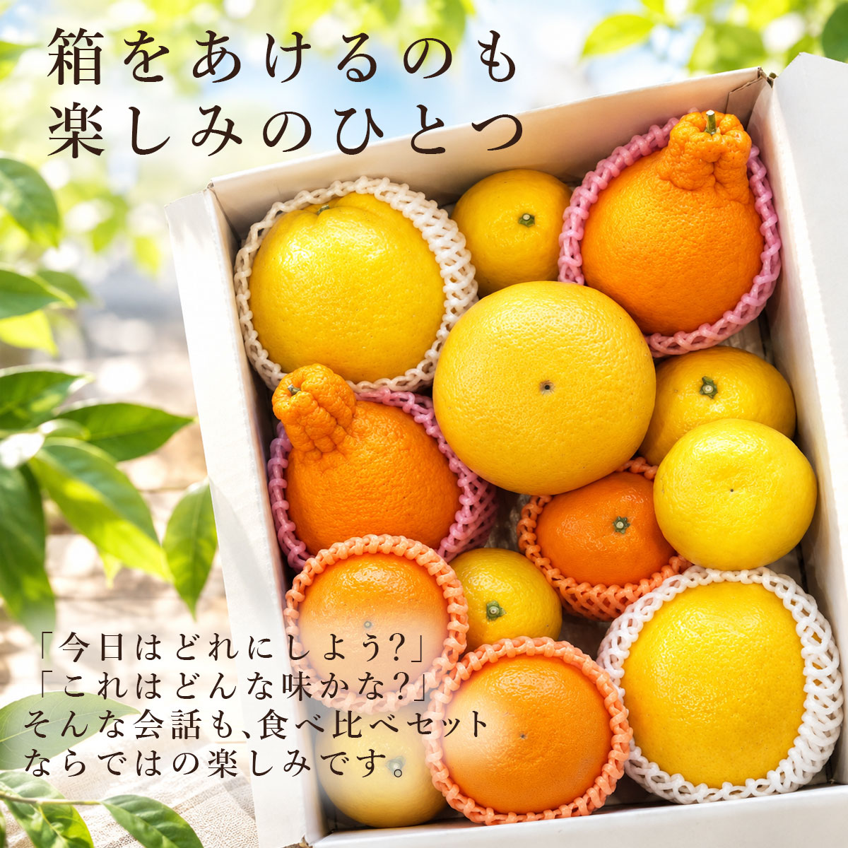 箱を開けるのも、楽しみのひとつ。