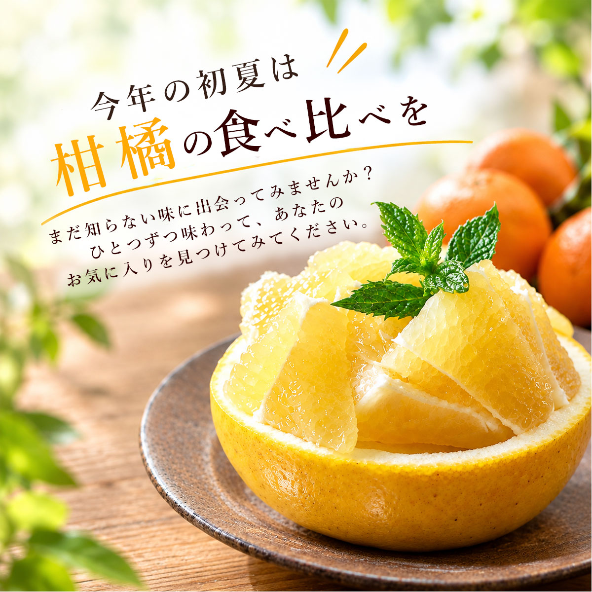 今年の初夏は、柑橘の食べ比べを。