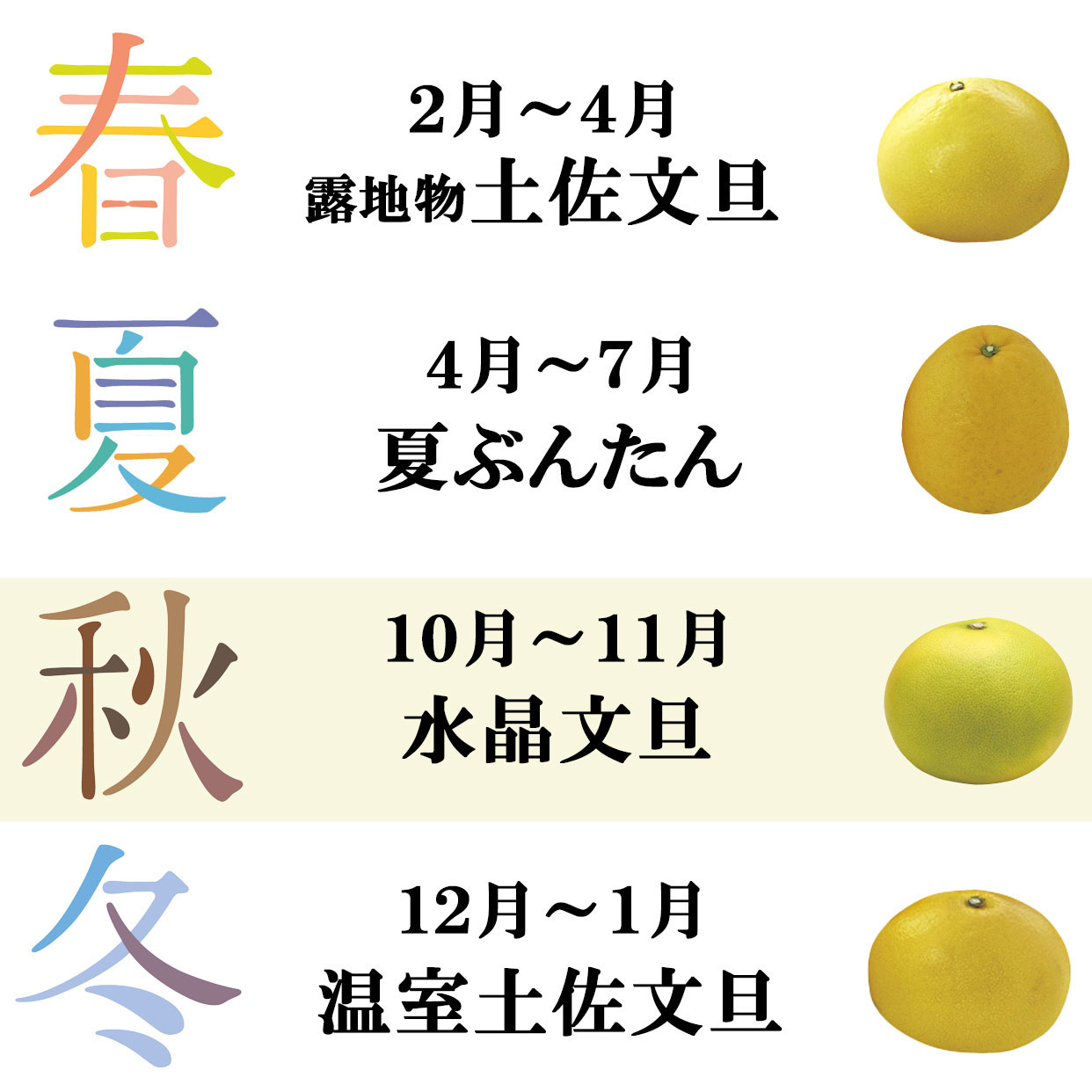 水晶文旦