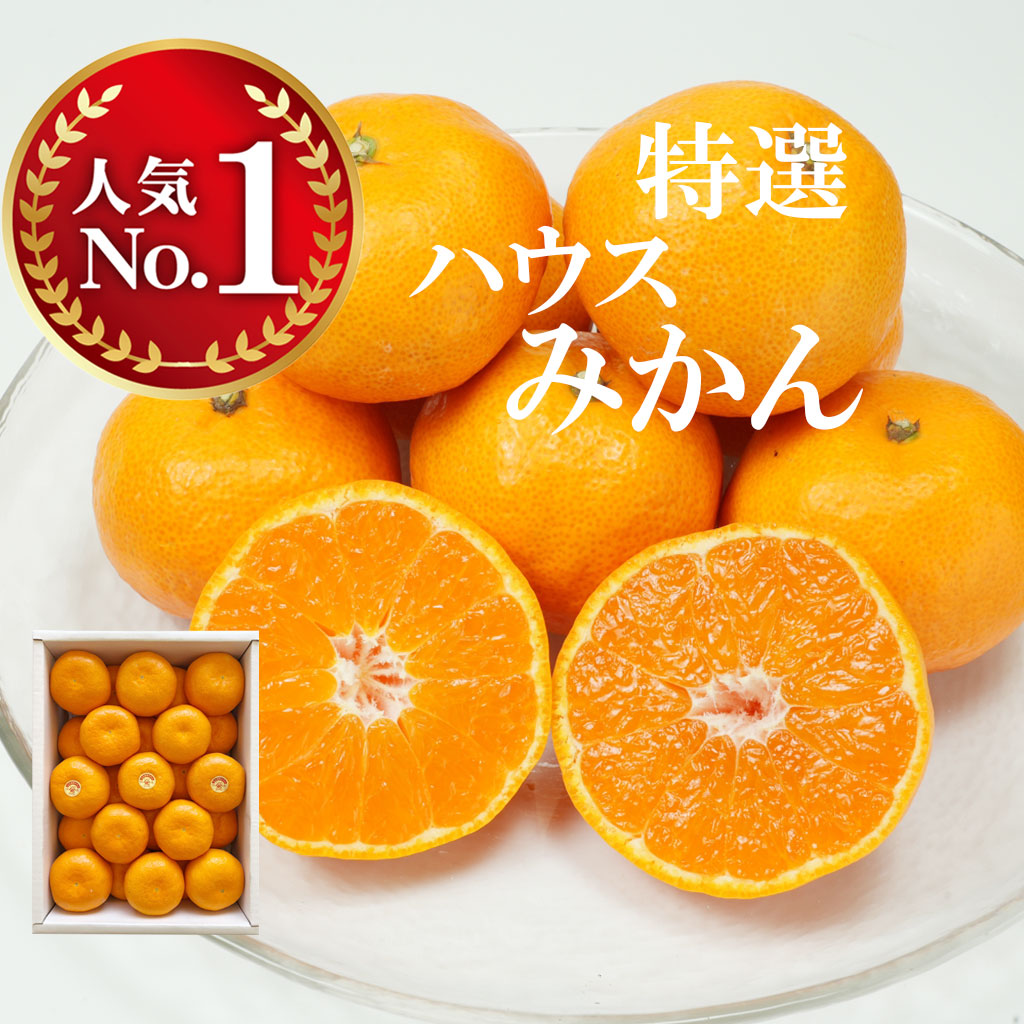 ハウスみかん