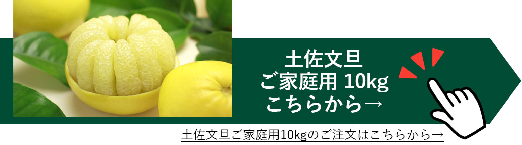 公認 土佐文旦♪5日～発送10kg×2箱2L はる様専用 - 食品