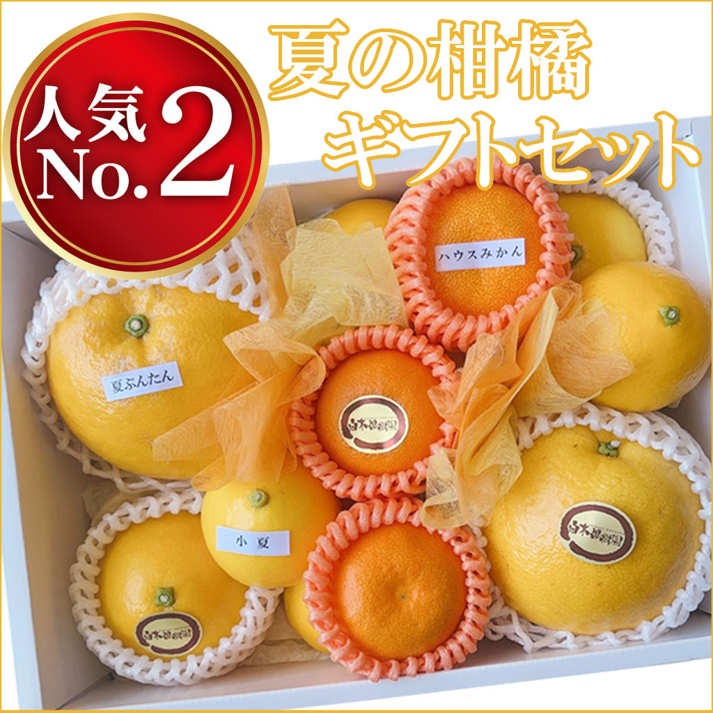 夏の柑橘ギフトセット