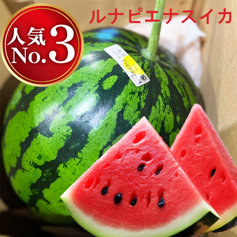 ルナピエナスイカ