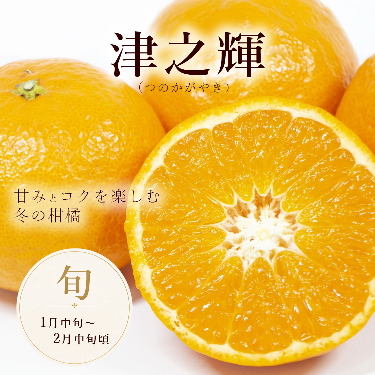 甘みとコクを楽しむ、冬の柑橘