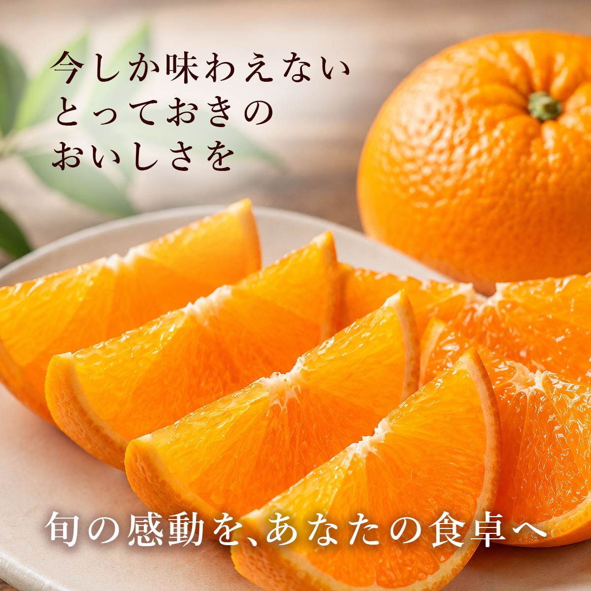 今しか味わえないとっておきの美味しさ