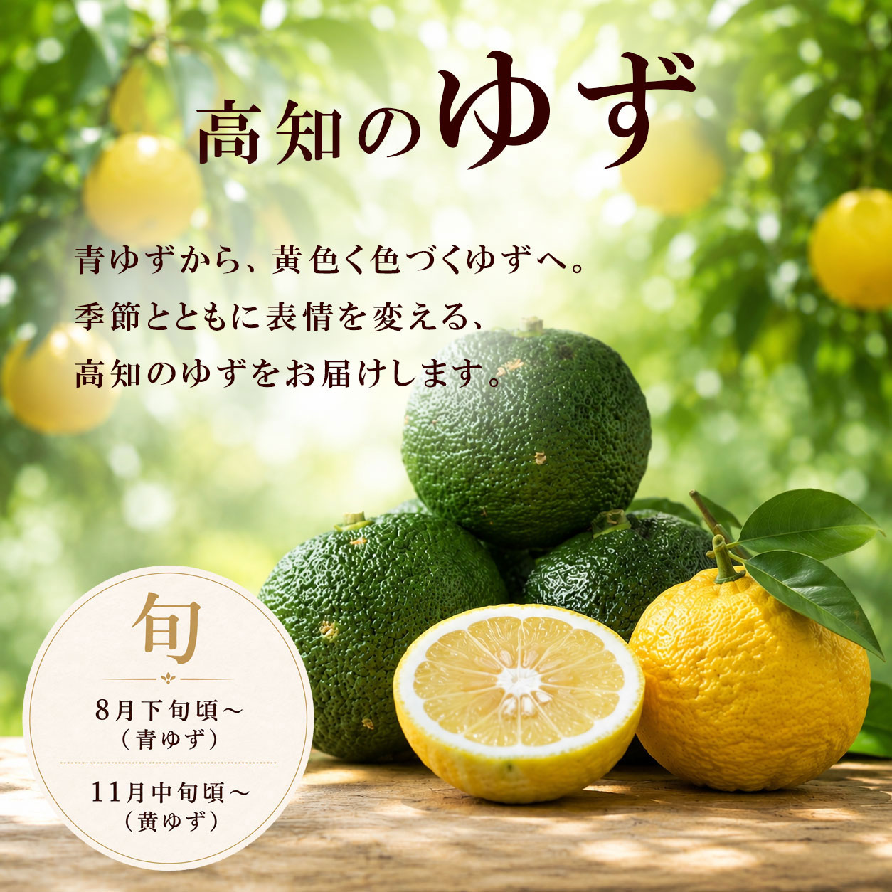 高知のゆず、季節とともに。