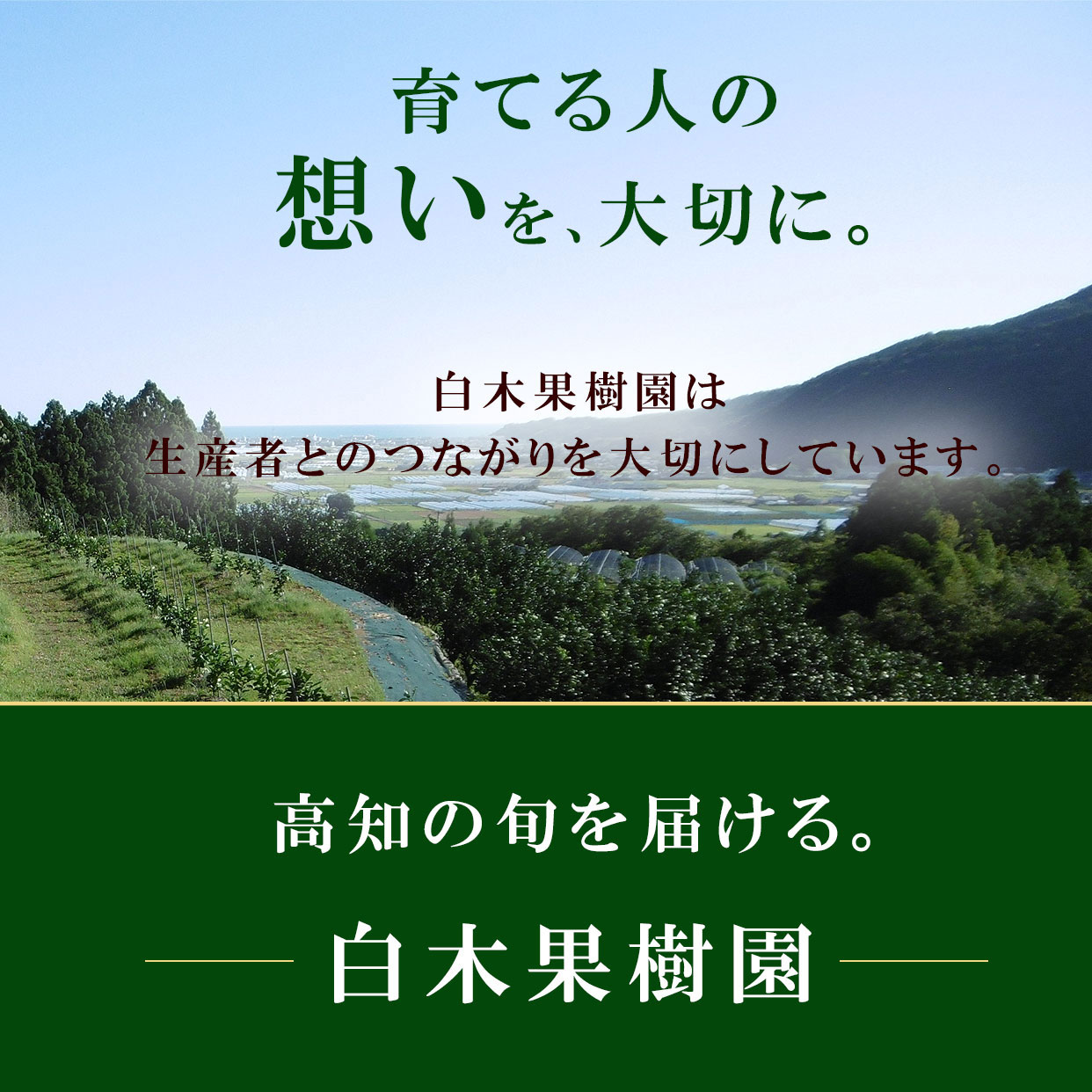 育てる人の想いを大切に、高知の旬を届ける。