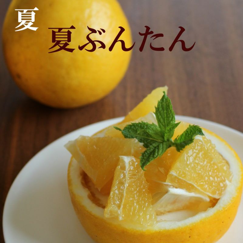 文旦四季の定期便（頒布会）【年間一括払い】 | 白木果樹園