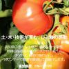 高知県産