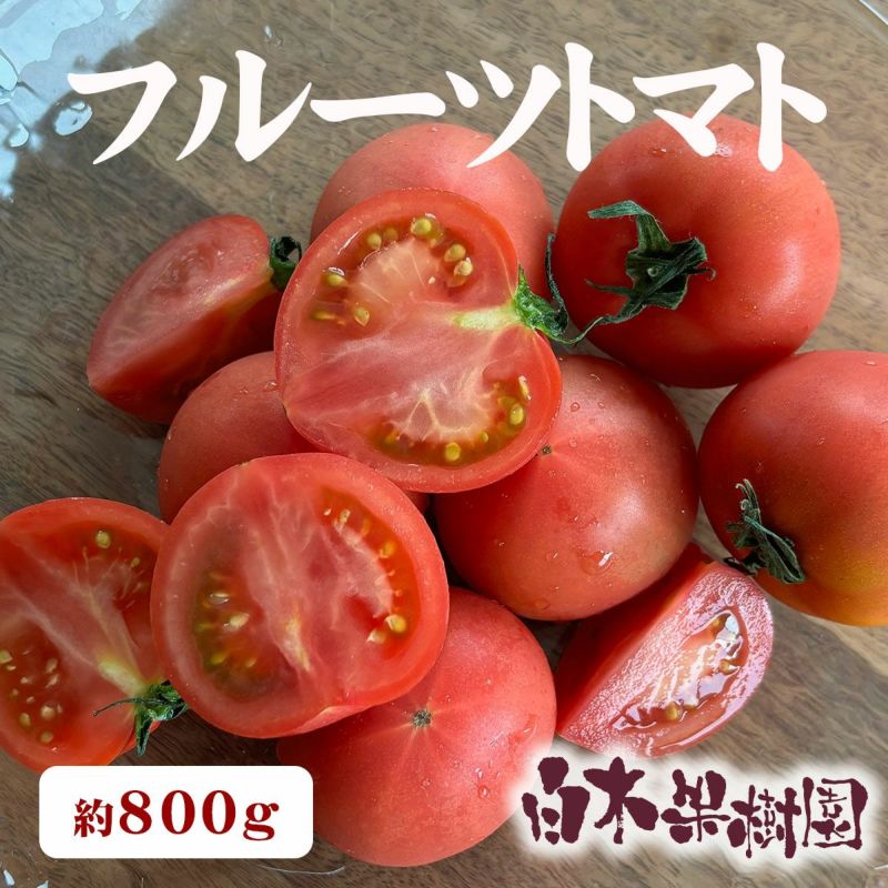 高知県産フルーツトマト 小箱