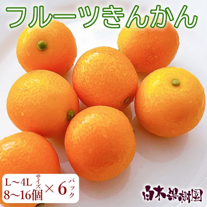 フルーツきんかん 6パック（高知県産）
