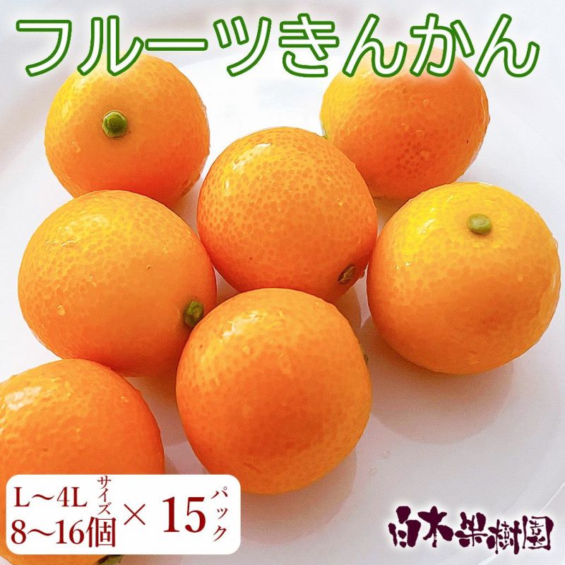  フルーツきんかん 15パック（高知県産）
