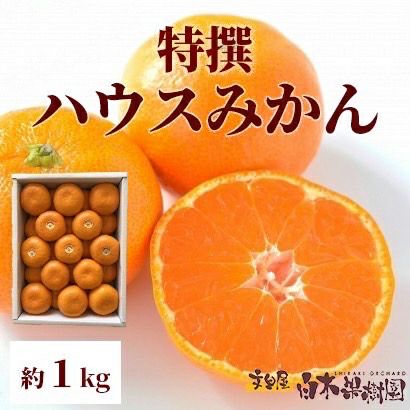 特選ハウスみかん 小箱