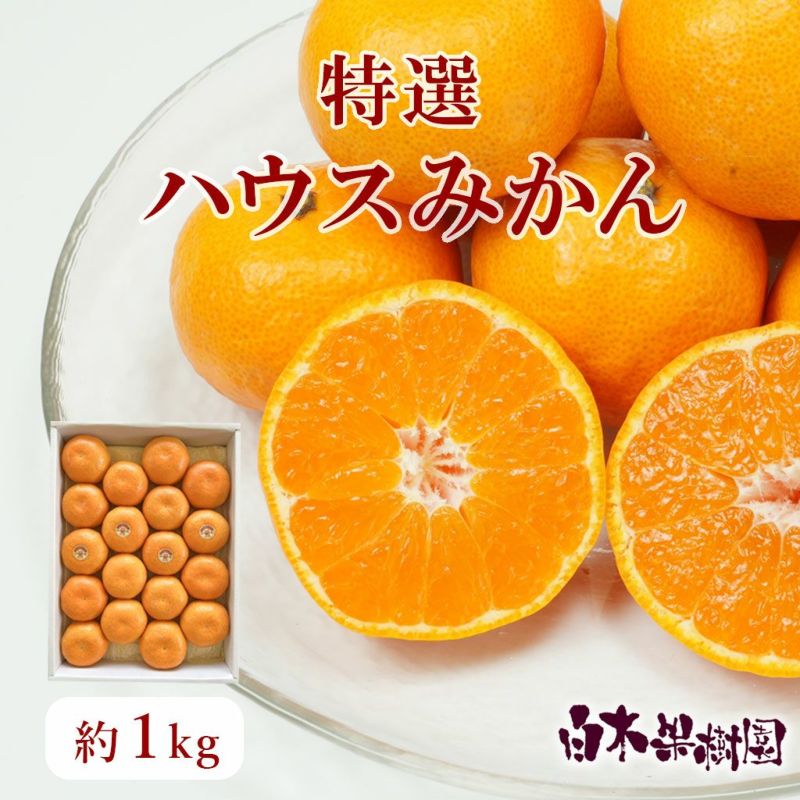 特選ハウスみかん 小箱