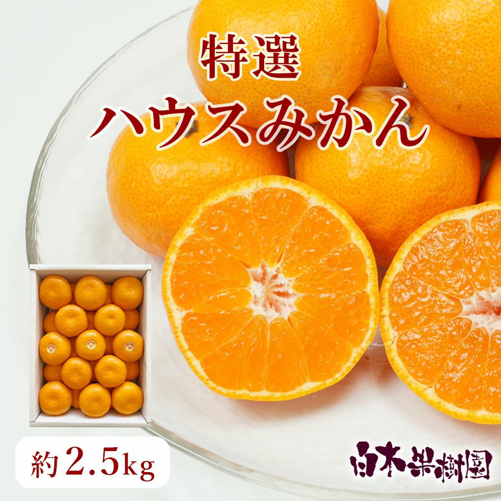 特選ハウスみかん 約2.5kg