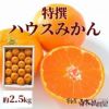 特選ハウスみかん 中箱