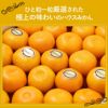 ひと粒一粒厳選された、極上の味わいのハウスみかん