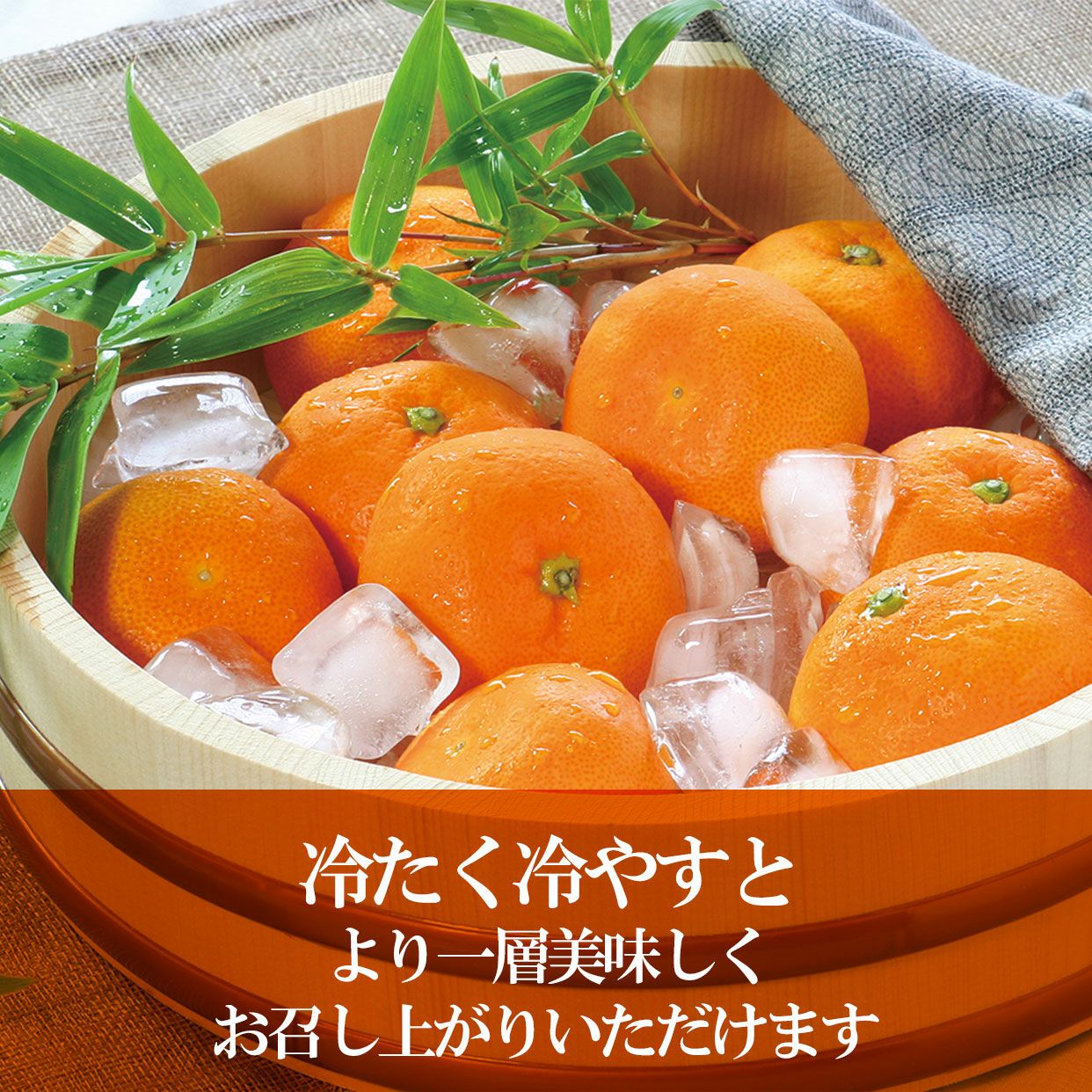 特選ハウスみかん約2.5kg【送料込】 | 白木果樹園