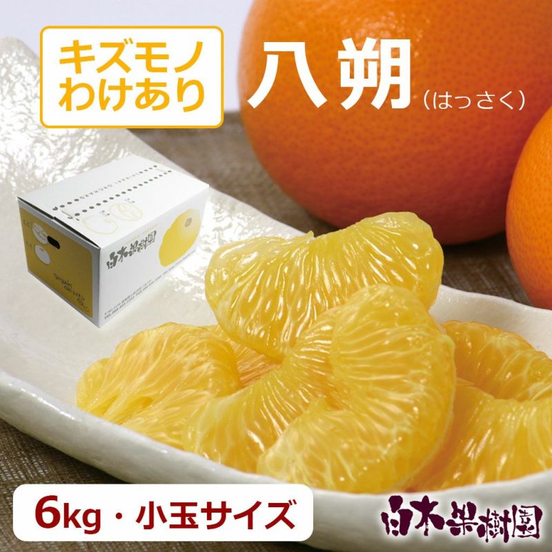 小玉不知火6Kg - 果物