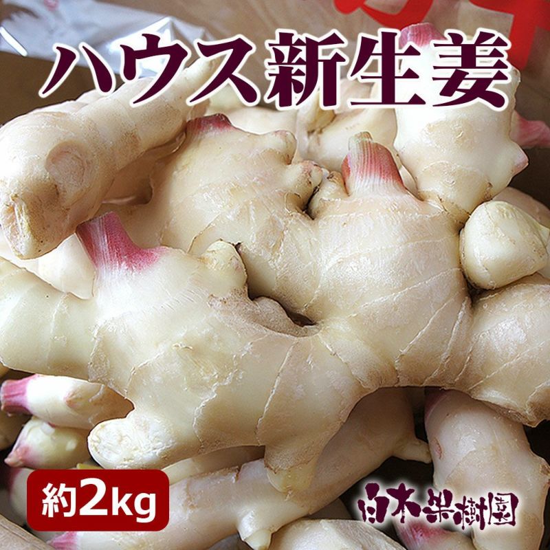 高知県産新生姜1キロ、即購入OK - 野菜