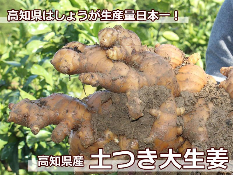 生姜
