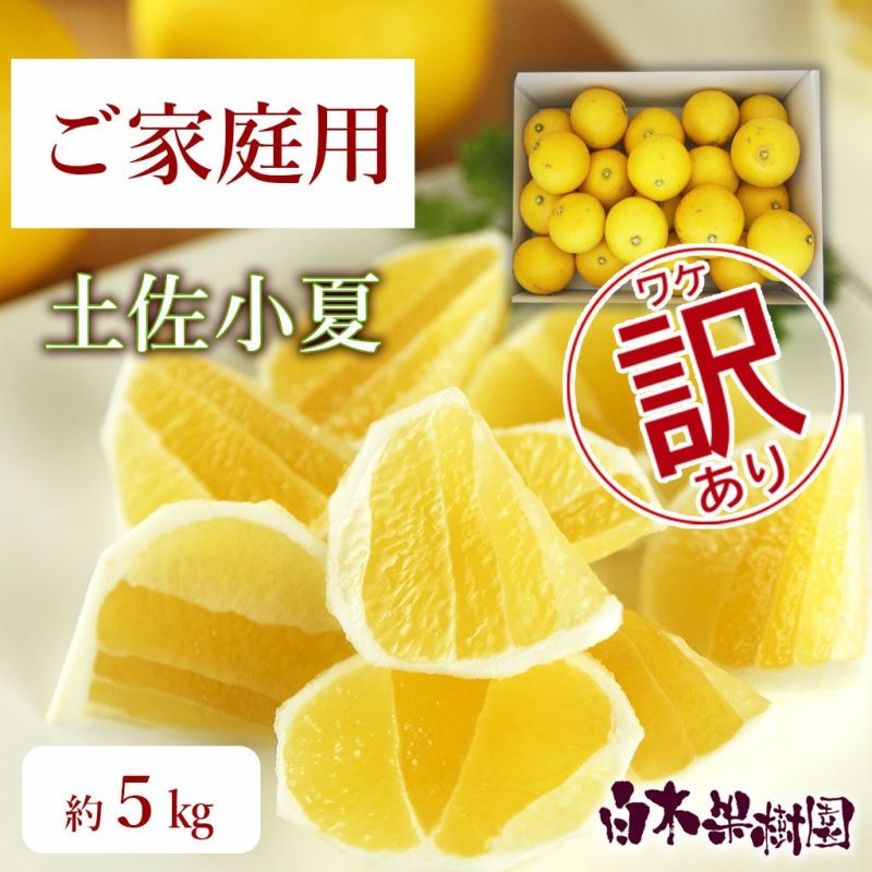 小夏わけありご家庭用 約5kg