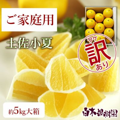 小夏わけありご家庭用 約5kg