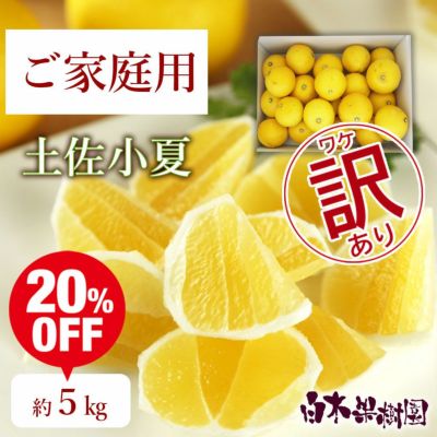 小夏わけありご家庭用 約5kg