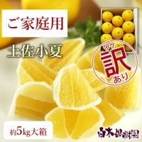 小夏わけありご家庭用 約5kg