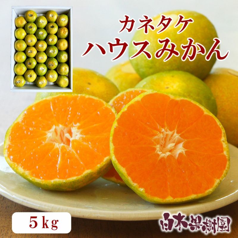 カネタケさんのハウスみかん 約5kg