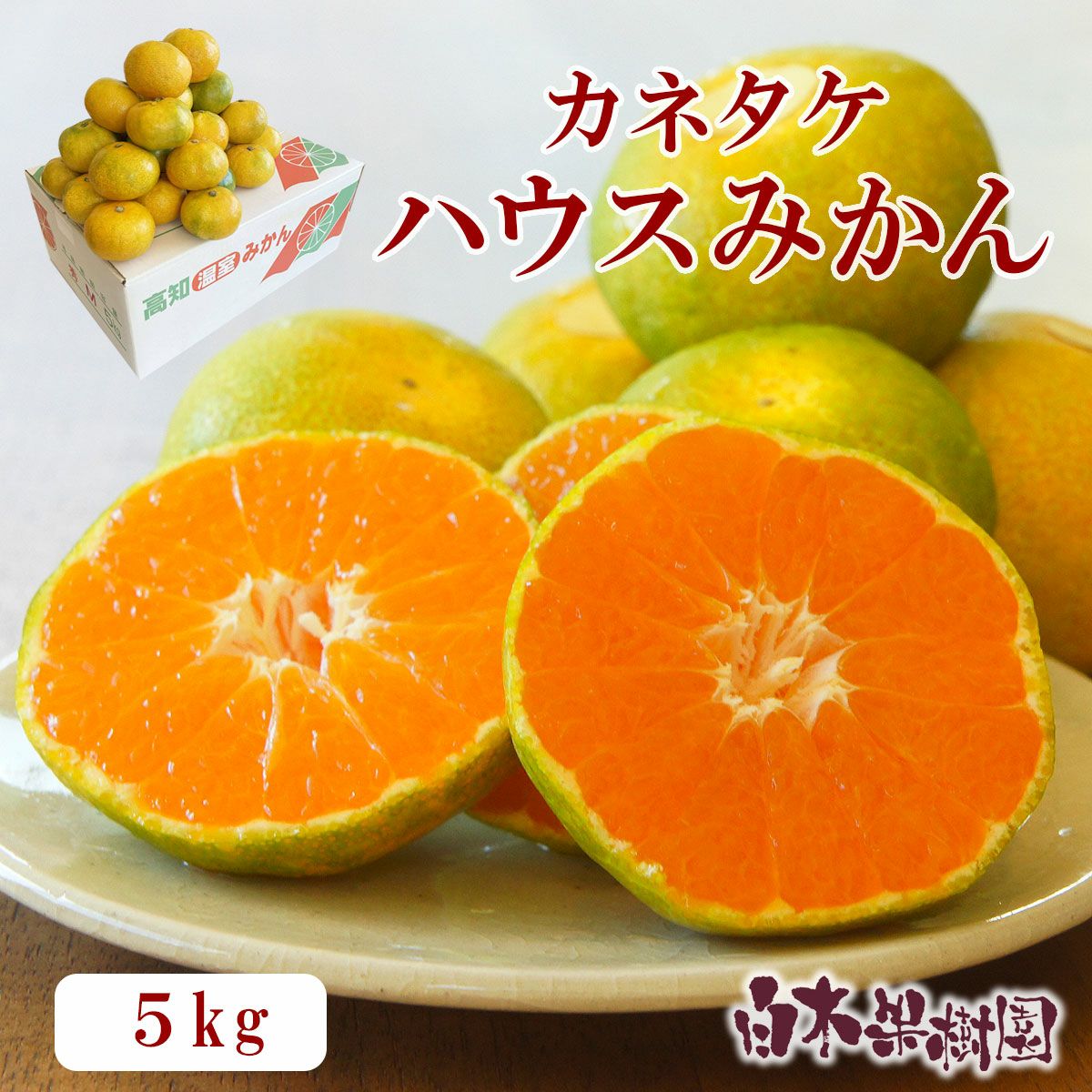 カネタケさんのハウスみかん 約5kg