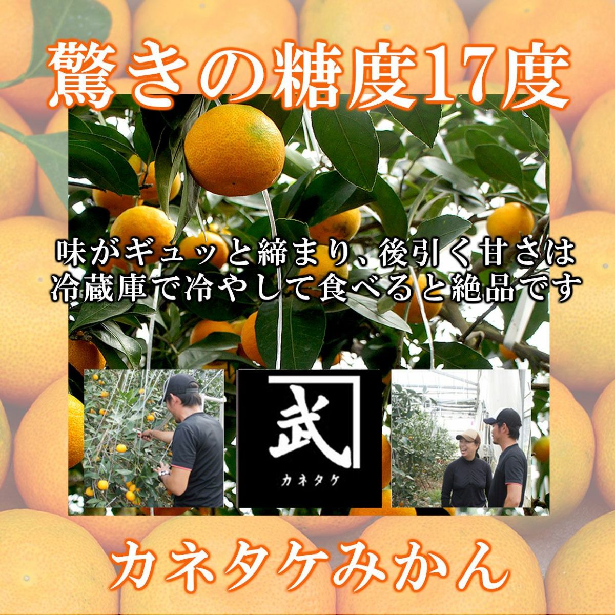 驚きの糖度17度