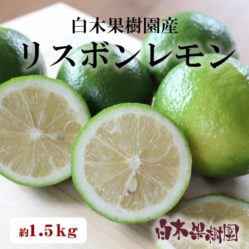 白木果樹園産レモン 約1.5kg【国産】 | 白木果樹園