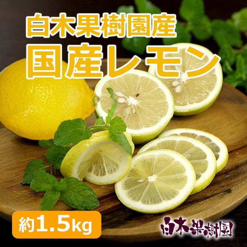 白木果樹園産レモン 約1.5kg
