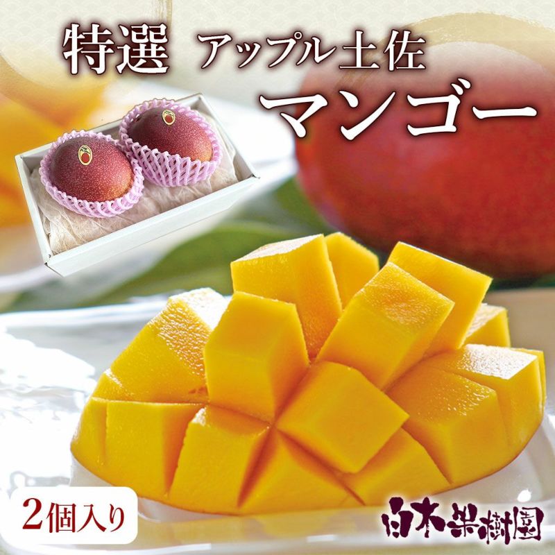 特選アップル土佐マンゴー 秀品・化粧箱（2個入り）