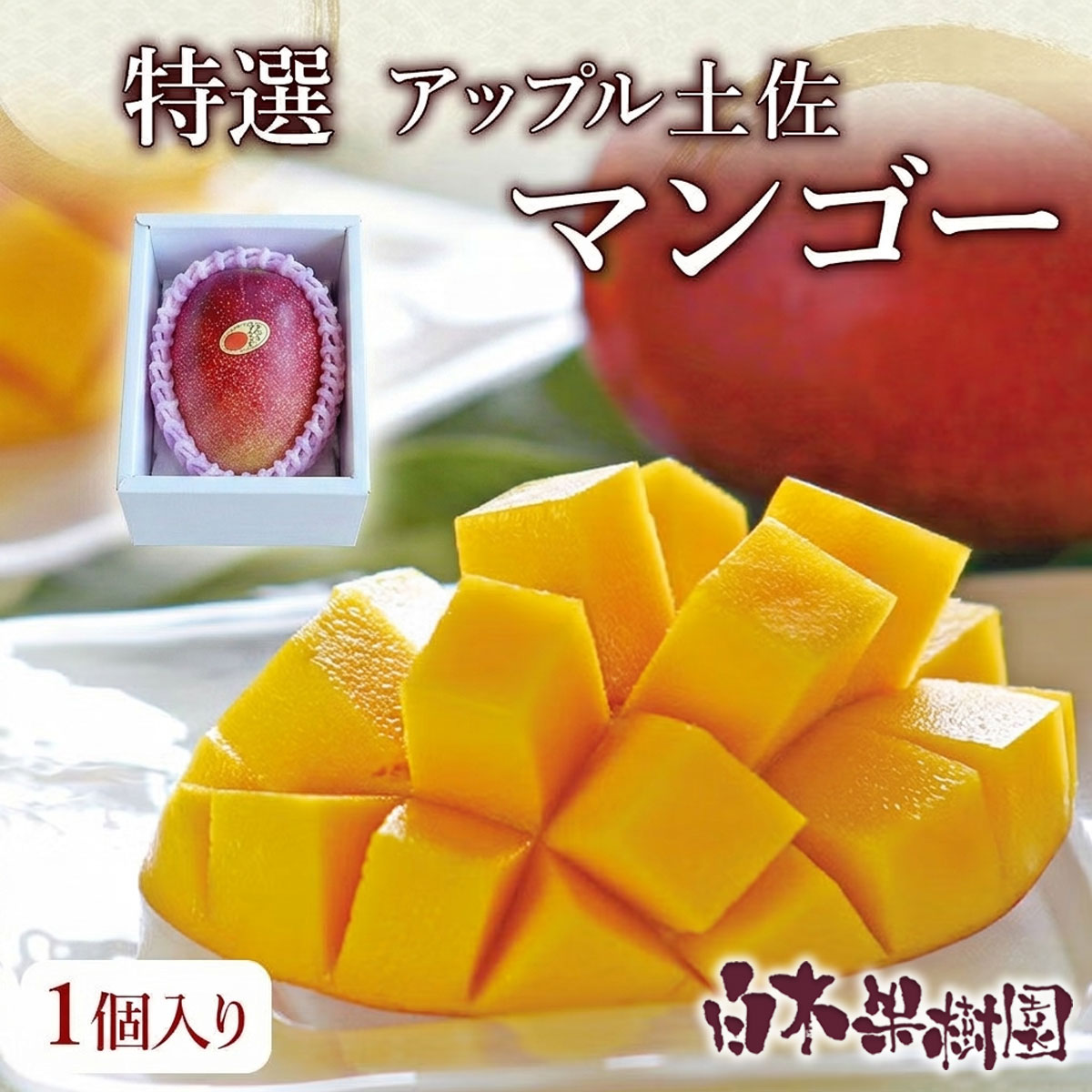 マンゴー 宮崎完熟マンゴーラングドシャ 8袋入×2箱: JAみやざき Tege Mahalo